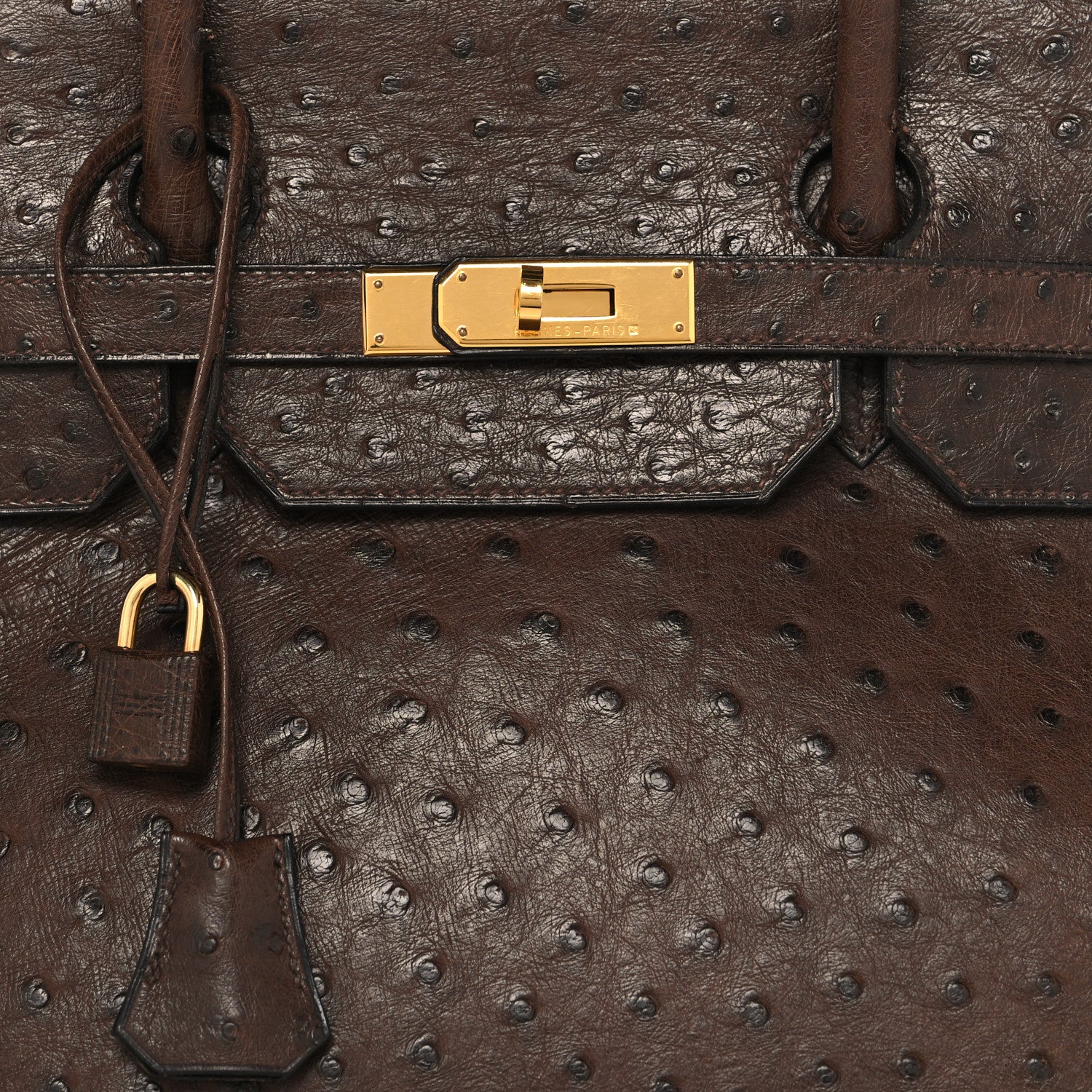 Hermes Ostrich Birkin 40 Noisette 7 of 14