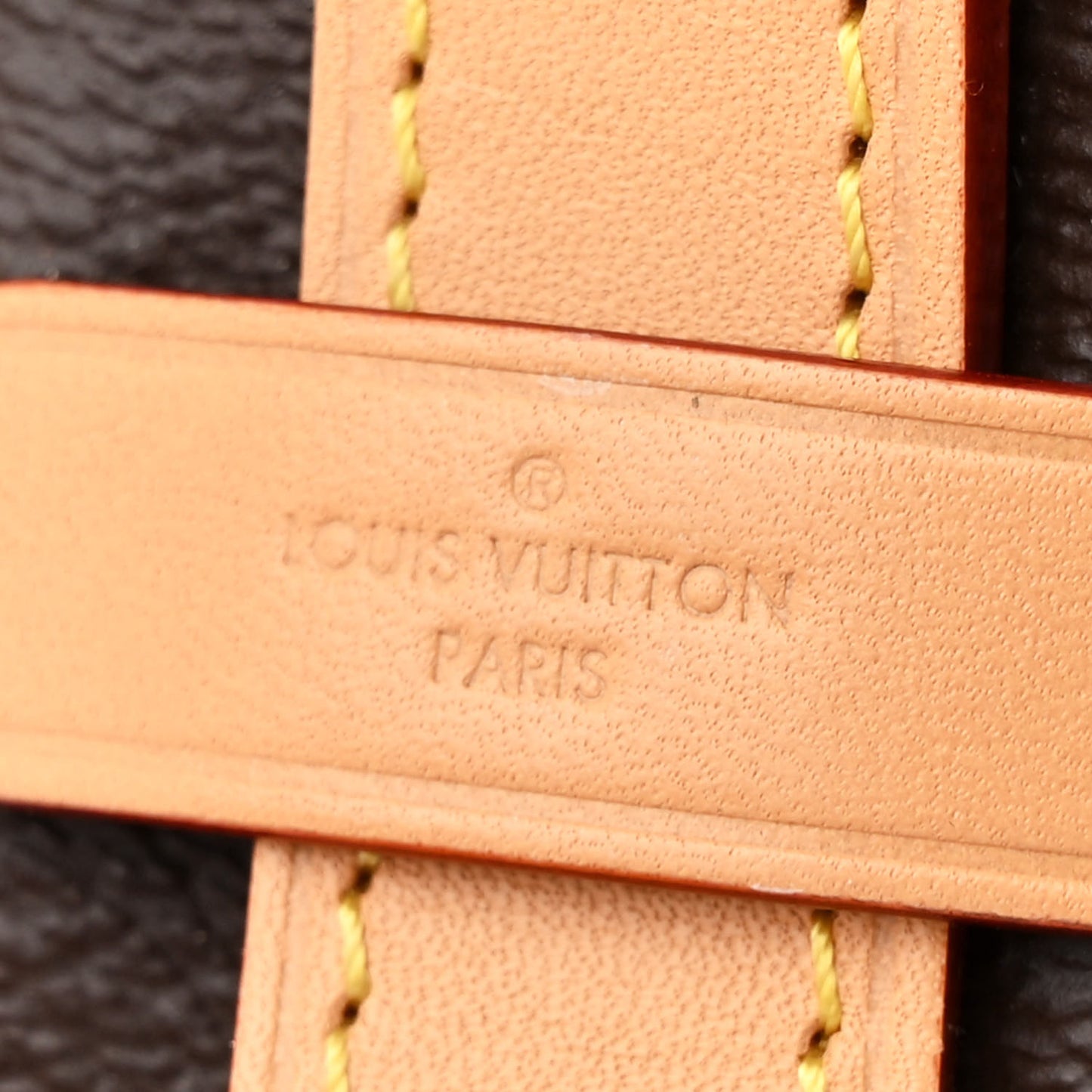 Monogram CarryAll MM