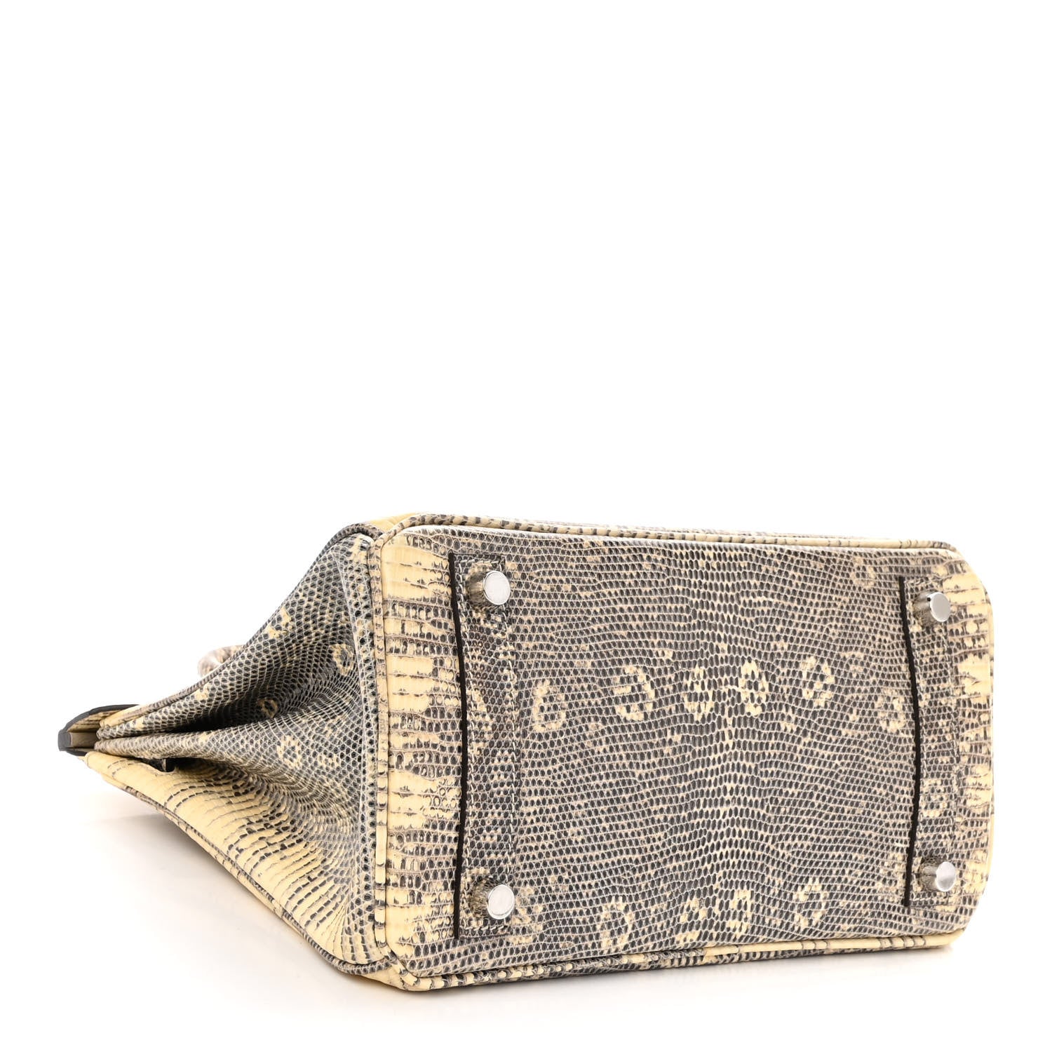 Hermes Lizard Birkin 25 Ombre 4 of 11