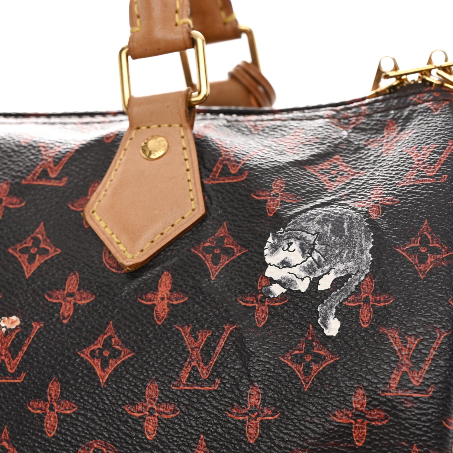 Louis Vuitton Catogram Speedy Bandouliere 30 Marron 12 of 14