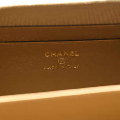 Chanel Lambskin Quilted CC Pearl Crush Camera Case Light Green 6 of 10