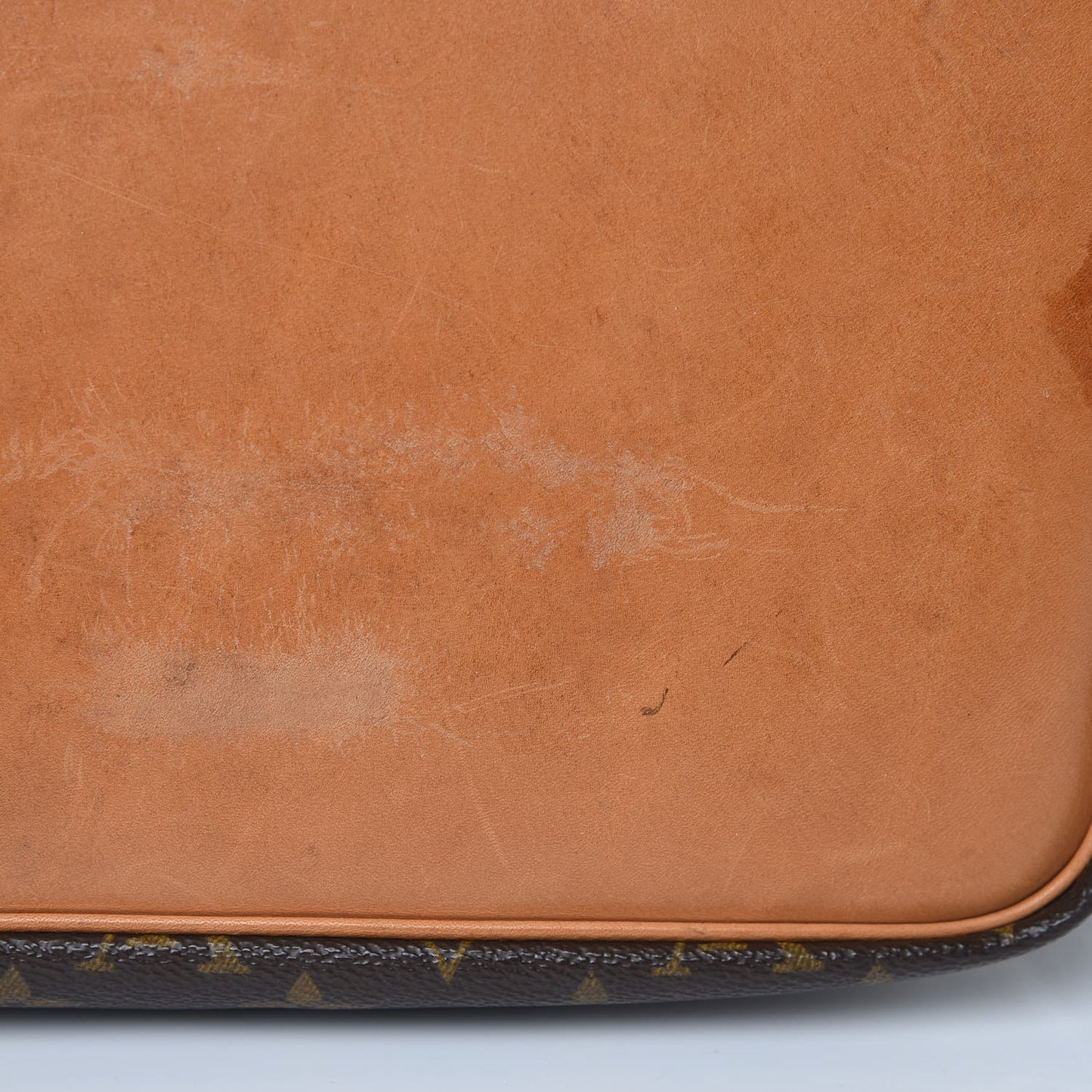 Monogram Petit Noe