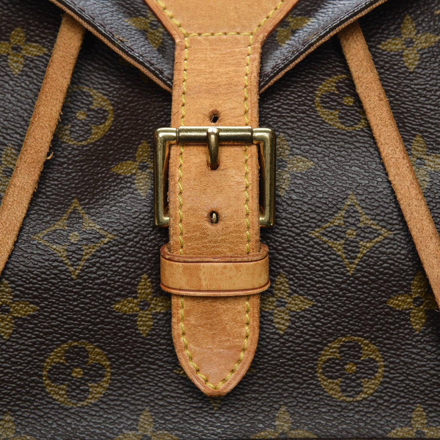 Monogram Montsouris GM Backpack