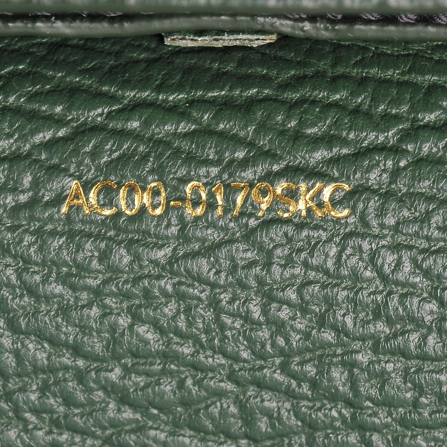3.1 Textured Calfskin Medium Pashli Satchel Jade