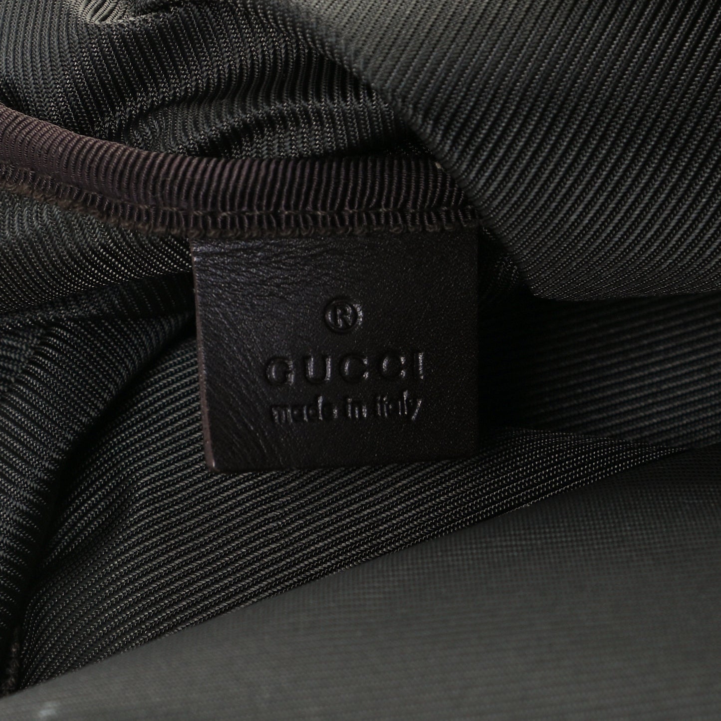 Monogram Web Dog Carrier Dark Brown