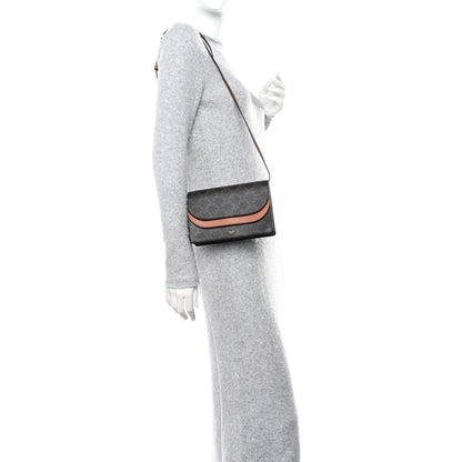 Celine Triomphe Canvas Lambskin Wallet On Strap Tan 2 of 12