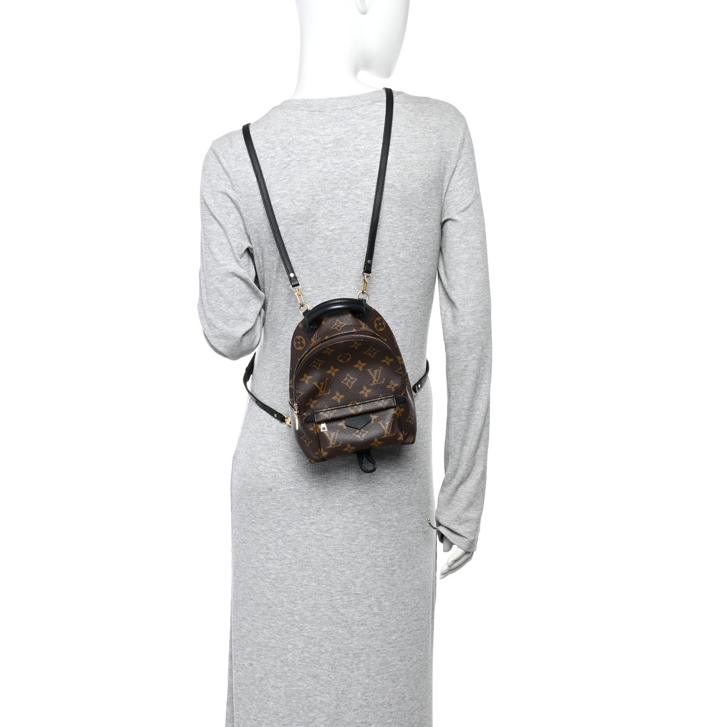Louis Vuitton Monogram Palm Springs Backpack Mini 2 of 10