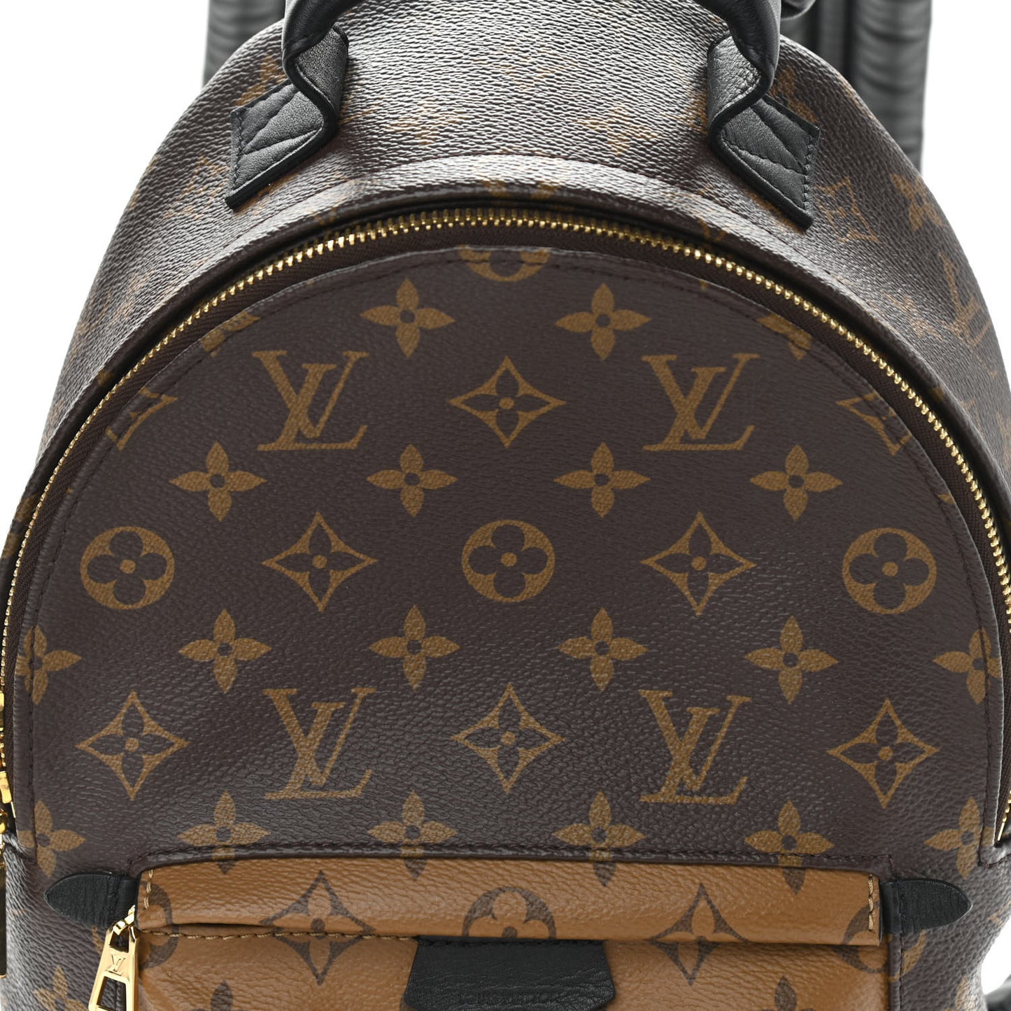 Reverse Monogram Palm Springs Backpack PM