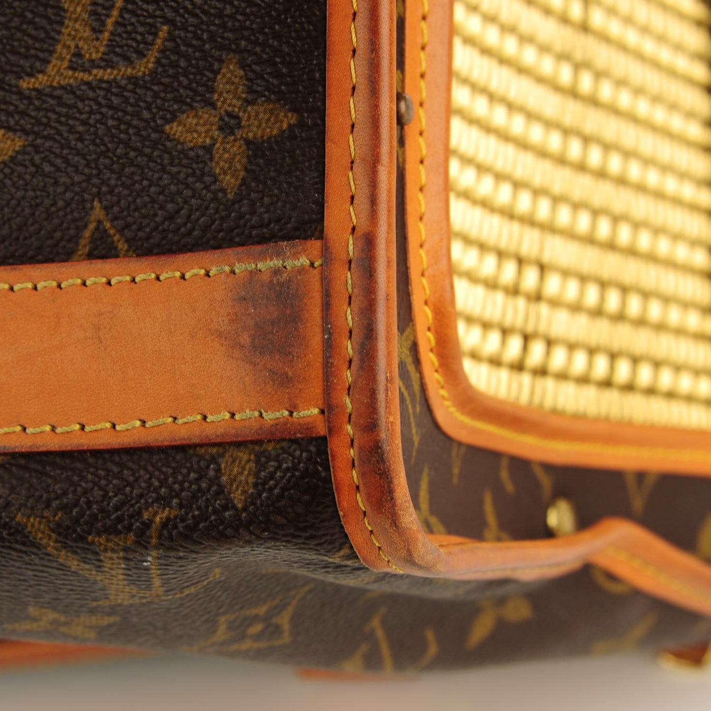 Monogram Sac Chien 40 Pet Carrier