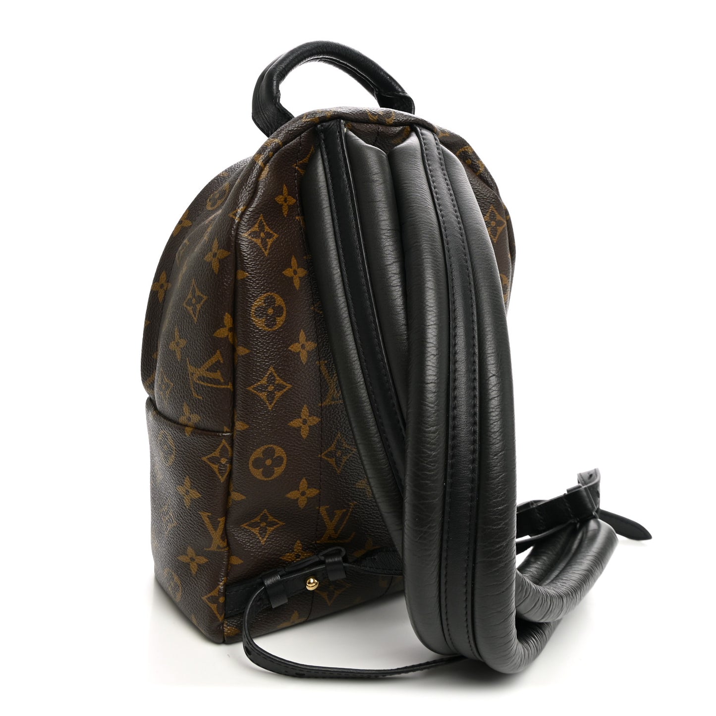 Monogram Palm Springs Backpack PM
