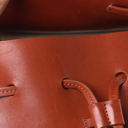 Mansur Gavriel Calfskin Mini Lady Bag Brandy Cleo 14 of 14