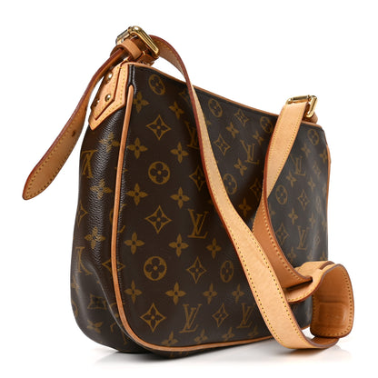 Louis Vuitton Monogram Hudson GM 2 of 8