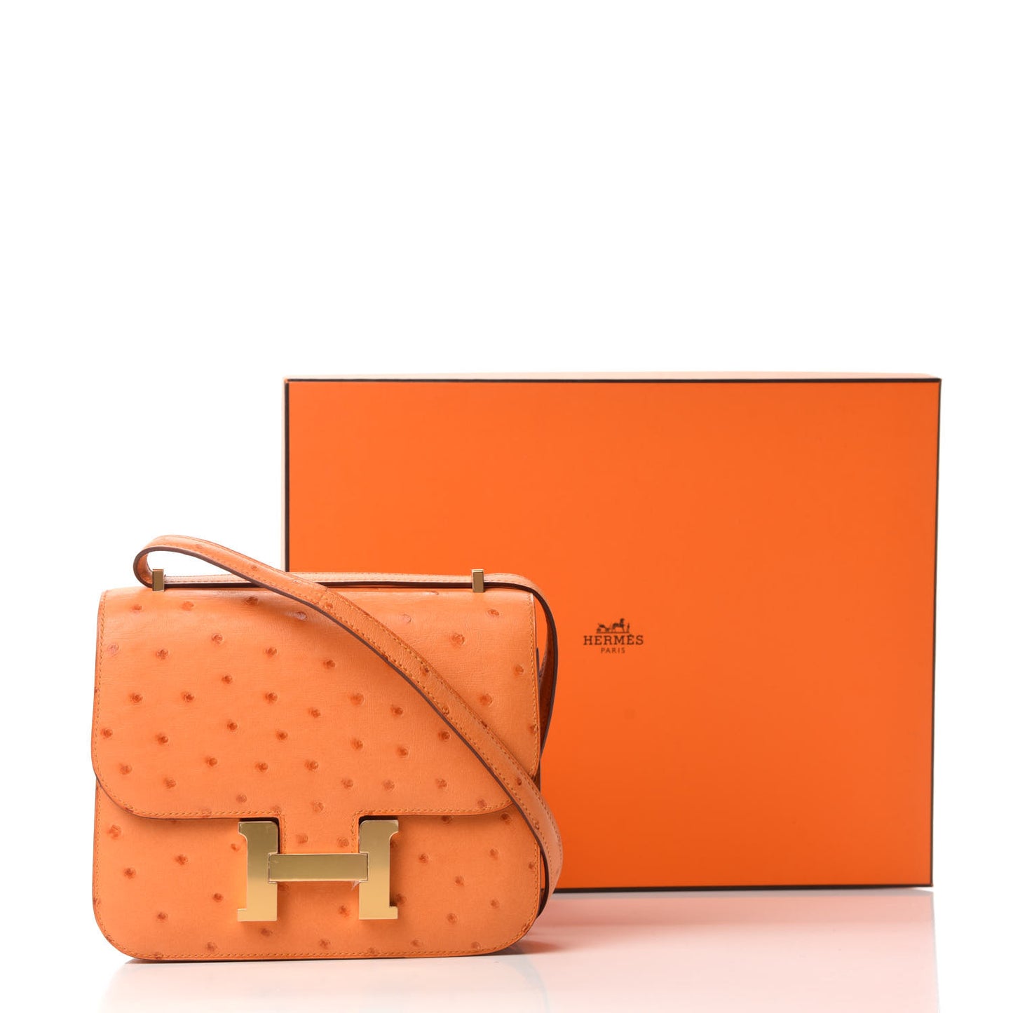 Ostrich Constance 18 Abricot