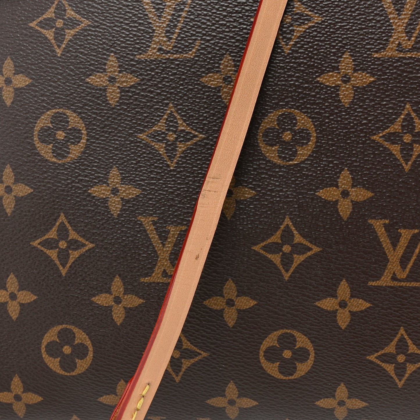 Monogram Carryall MM