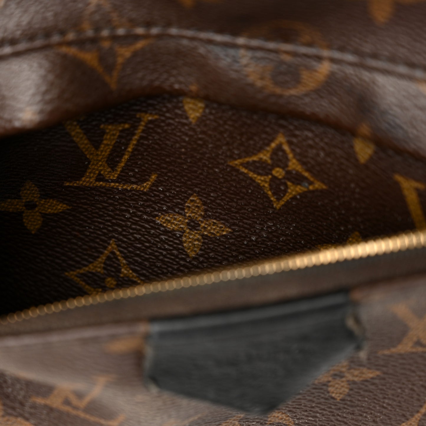 Monogram Palm Springs Backpack MM