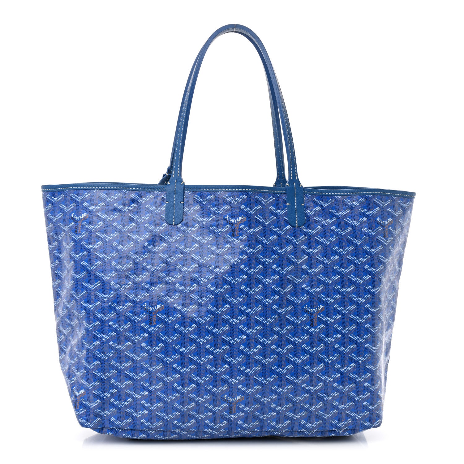 Goyard Goyardine Saint Louis PM Sky Blue 1 of 13