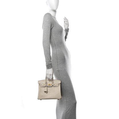 Hermes Matte Alligator Birkin 25 Beton 2 of 12