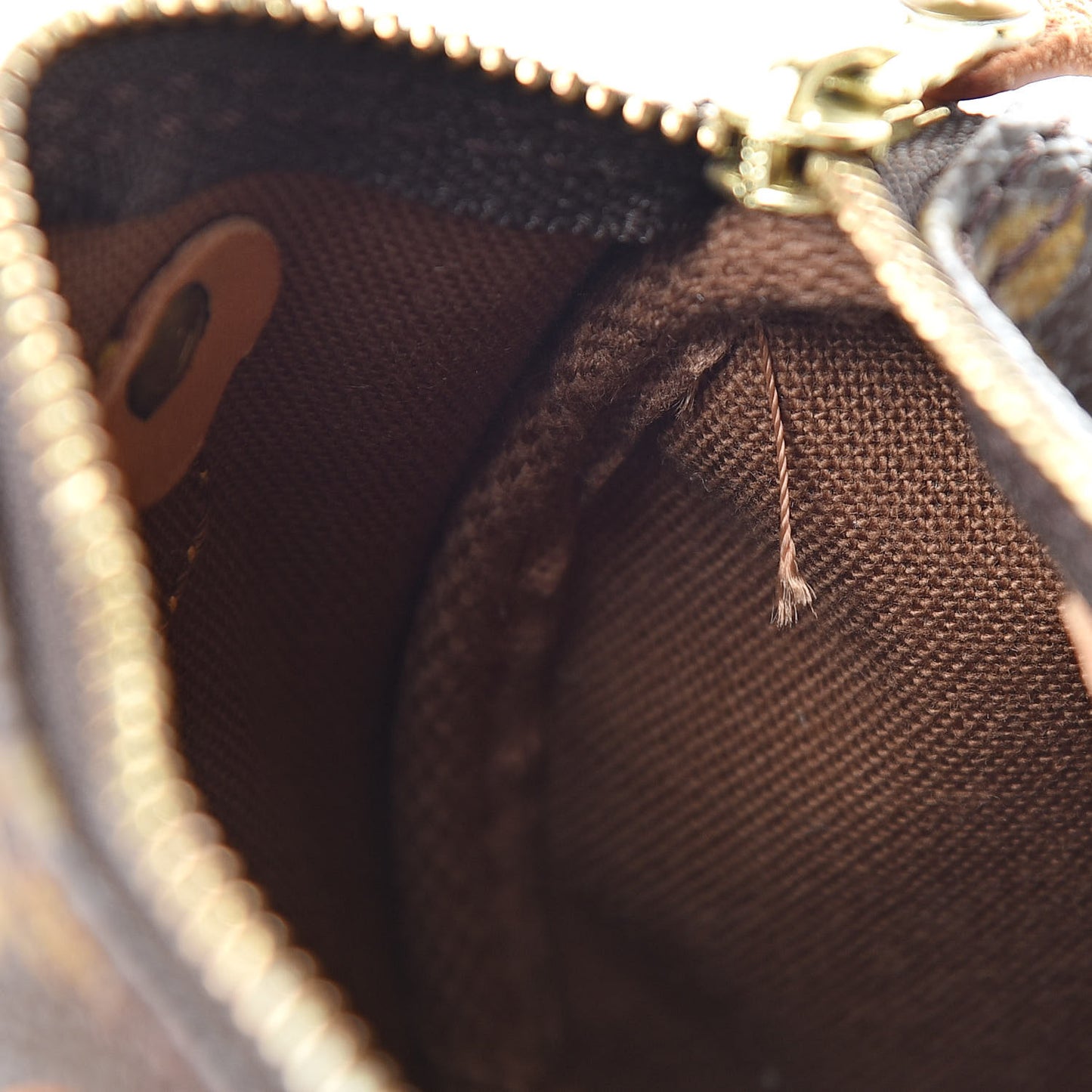 Monogram Mini Sac HL Speedy