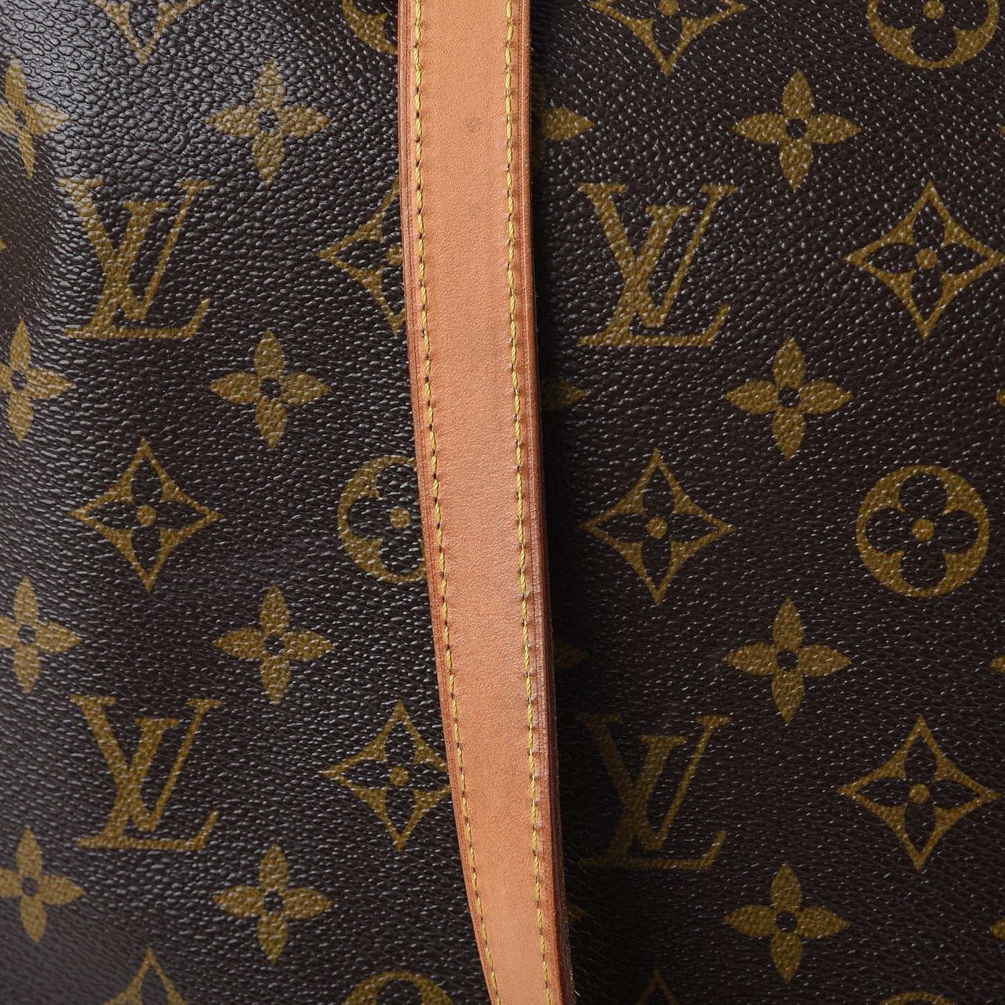 Monogram Cabas Mezzo