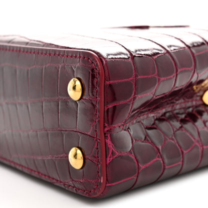 Louis Vuitton Crocodile Mini Capucines  Bordeaux 9 of 10