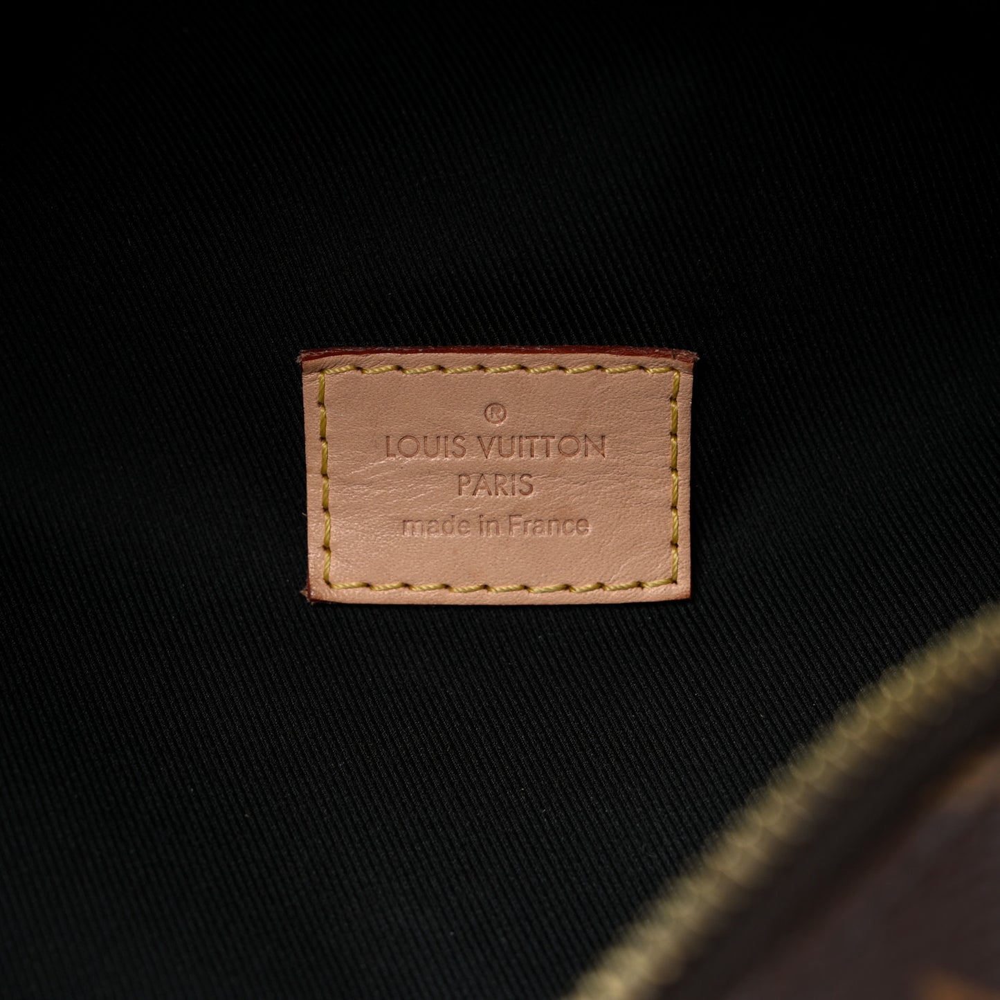 Monogram Bumbag