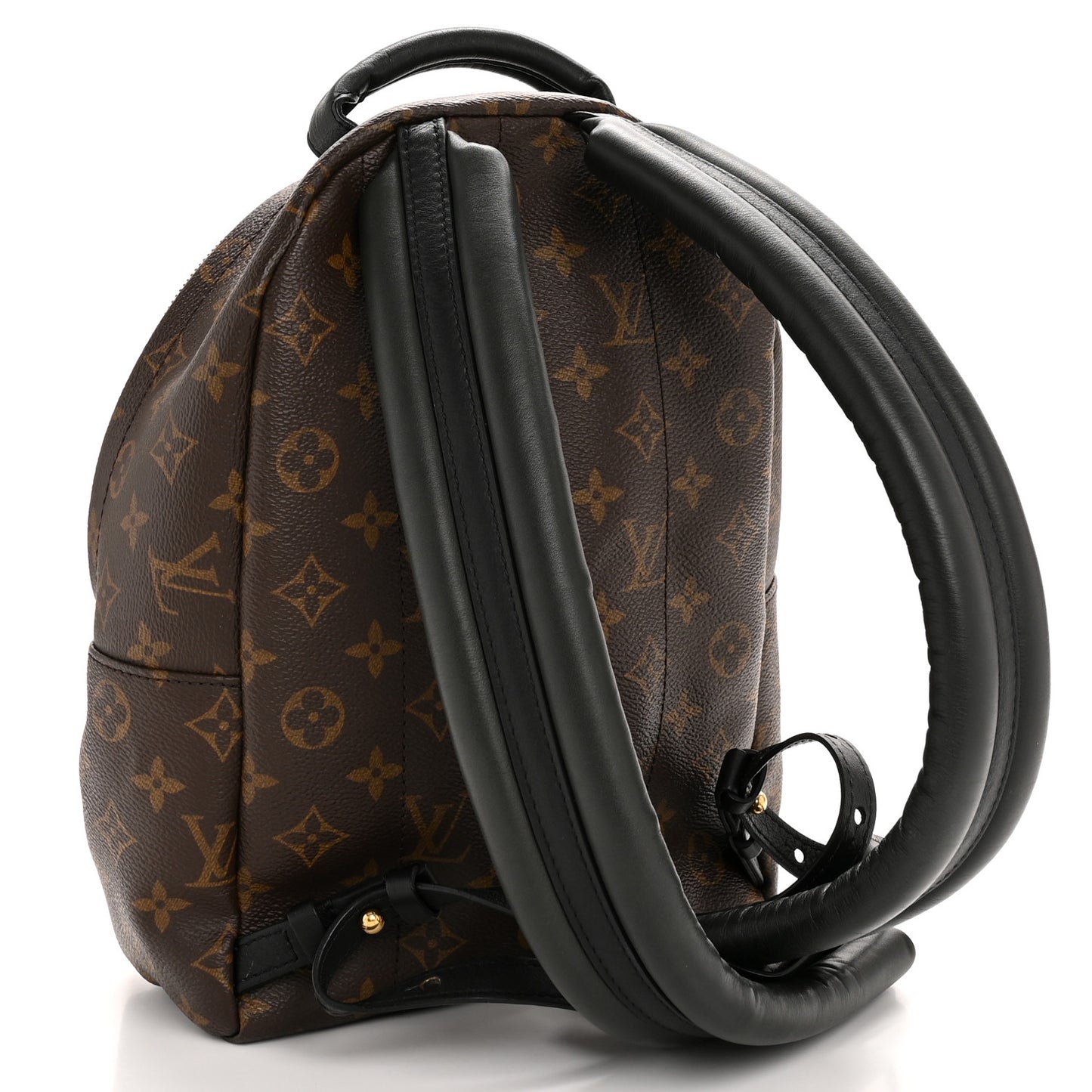 Monogram Palm Springs Backpack PM