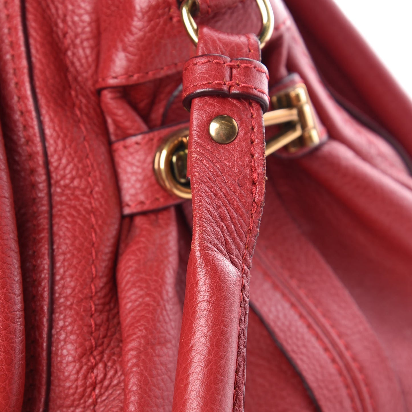 Calfskin Medium Paraty Holly Berry