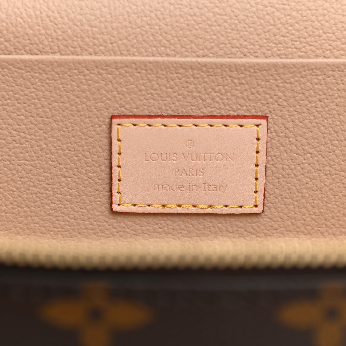 Monogram Nice Mini