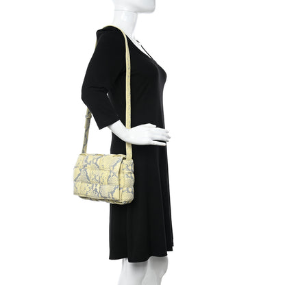 Bottega Veneta Goatskin Python Embossed Padded Cassette Crossbody Bag Kiwi Black Silver 2 of 10