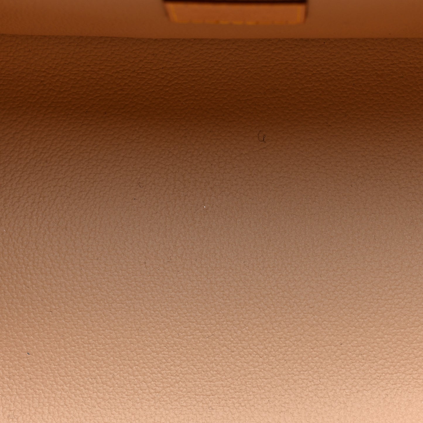 Monogram Nice BB