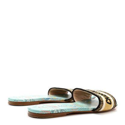 Christian Dior Canvas Embroidered Dior In Lights Dway Mules Slide Sandals 38 Multicolor 4 of 12