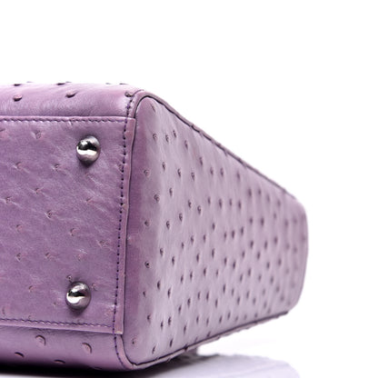 Christian Dior Ostrich Large Lady Dior Purple 9 of 9