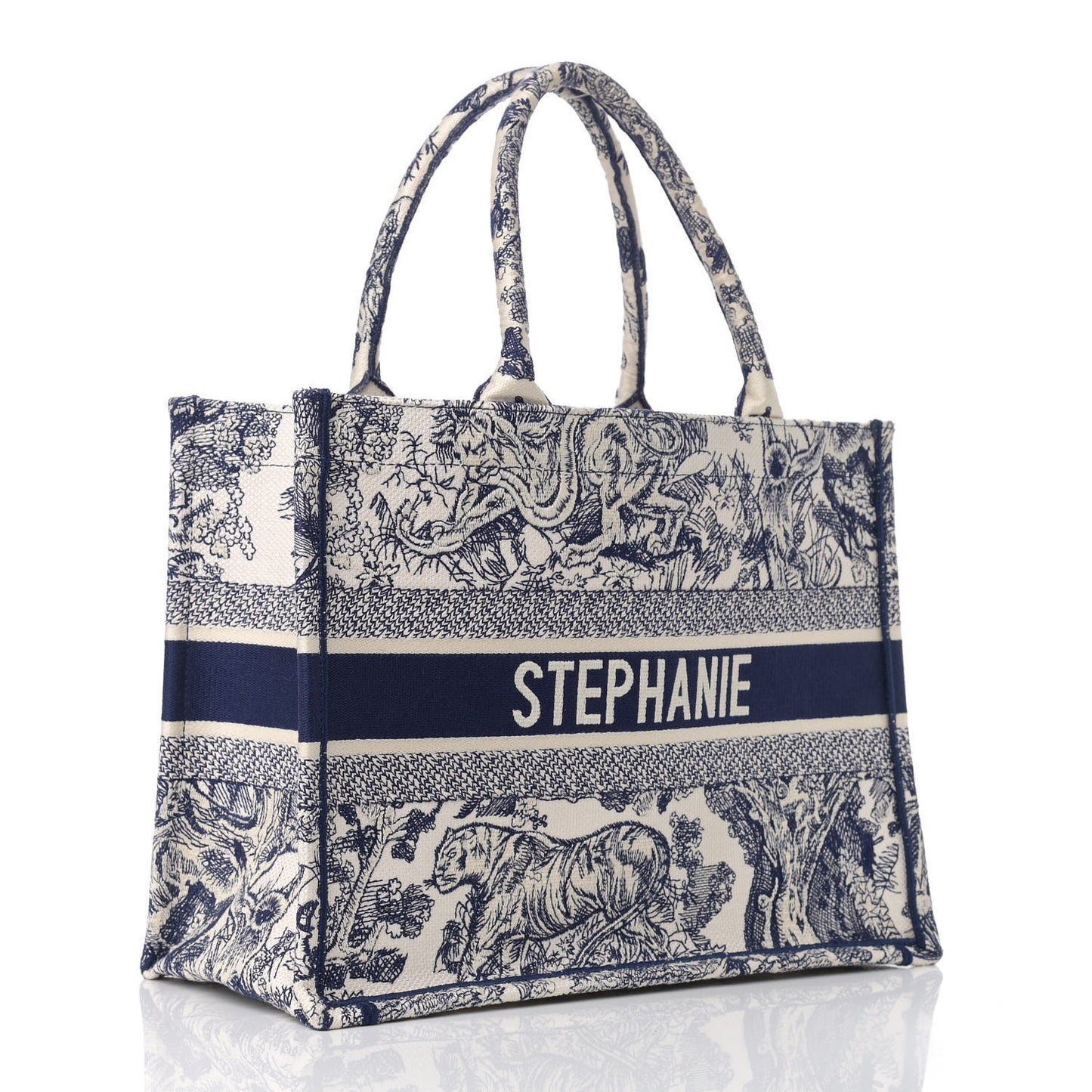 Canvas Embroidered Medium Dioriviera Toile De Jouy Book Tote Blue