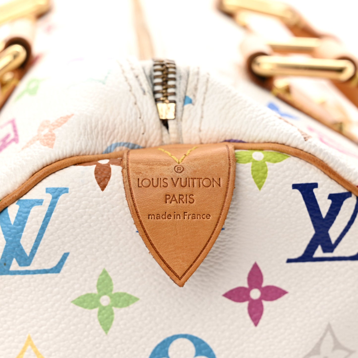 Monogram Multicolor Speedy 30 White