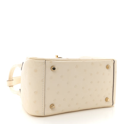 Hermes Ostrich Mini Lindy 20 Nata 4 of 14