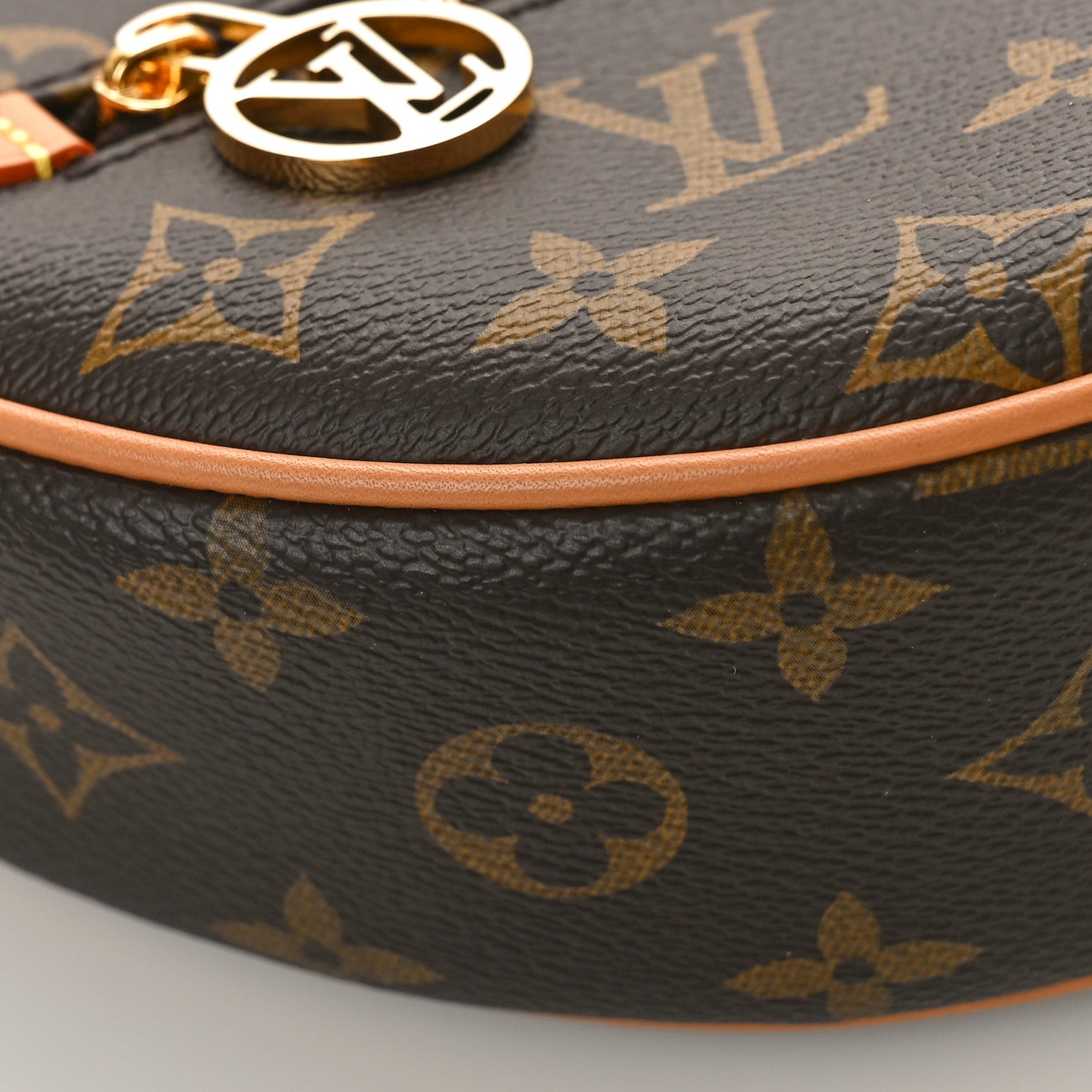 Louis Vuitton Monogram Loop 7 of 9