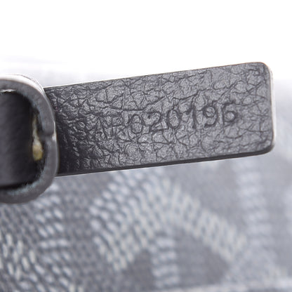 Goyard Goyardine Saint Louis PM Grey 8 of 11