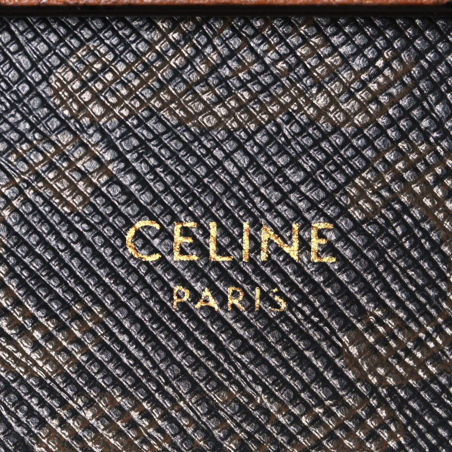Triomphe Canvas Lambskin Wallet On Strap Tan