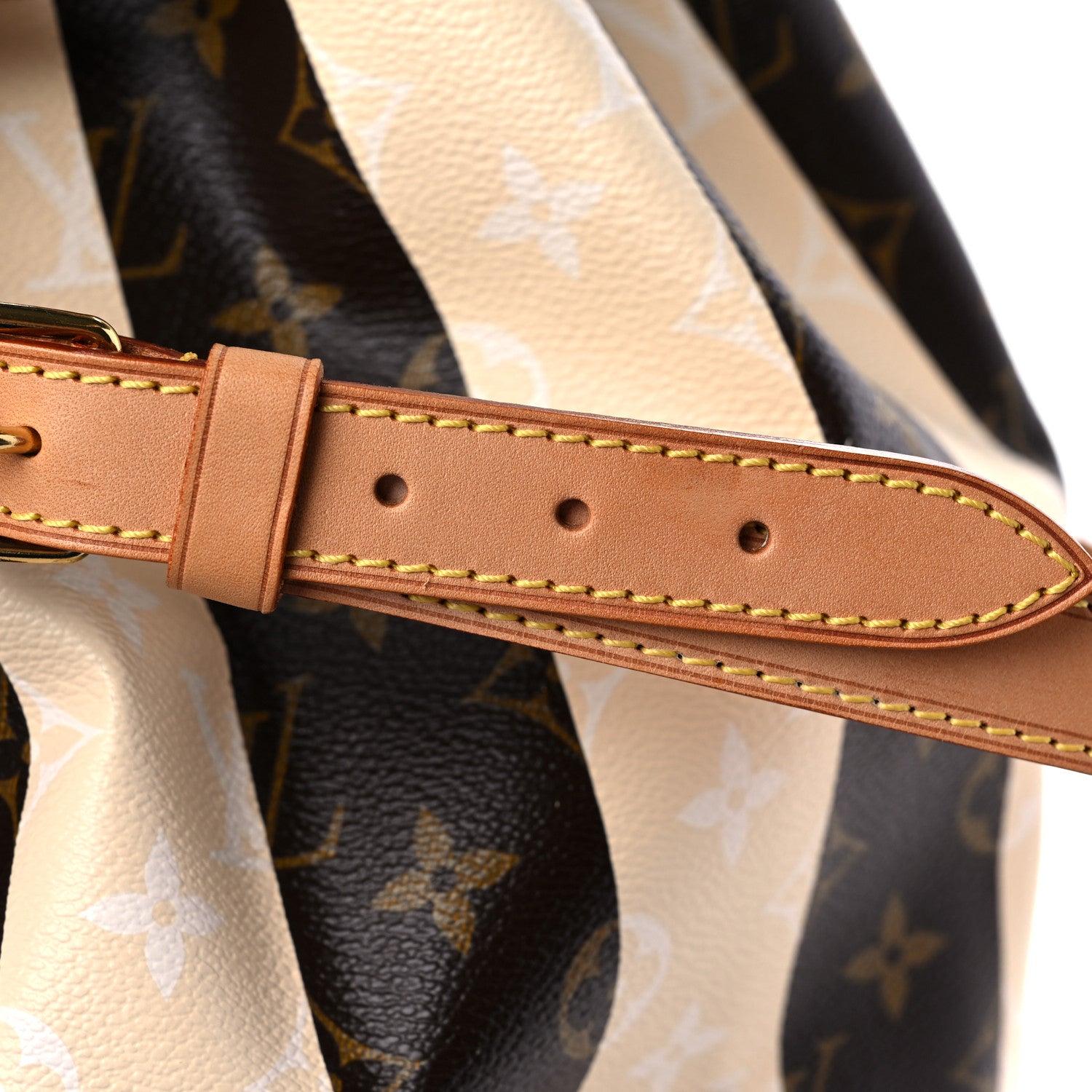 Louis Vuitton Monogram Rayures Noe 15 of 15
