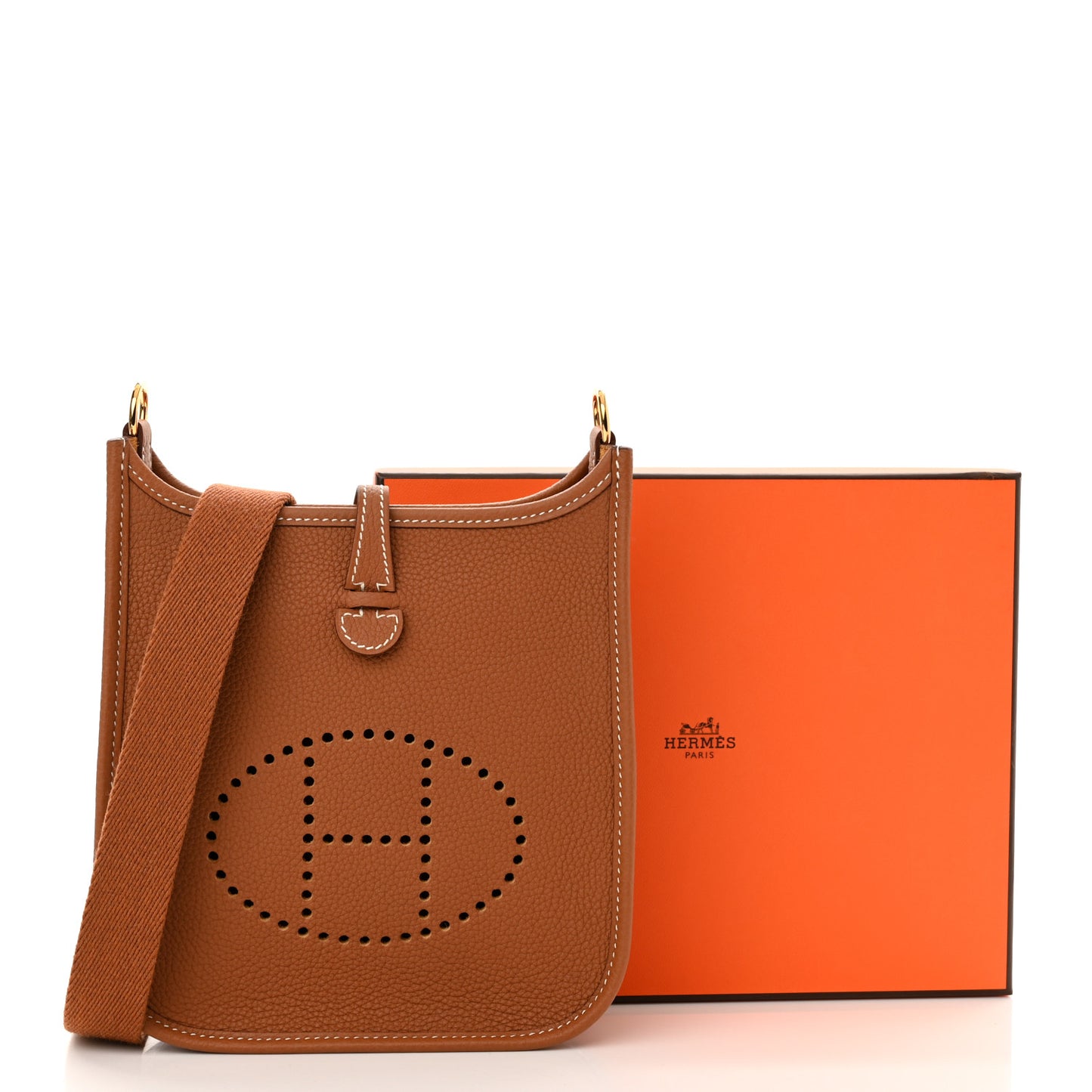 Taurillon Maurice Evelyne TPM Gold