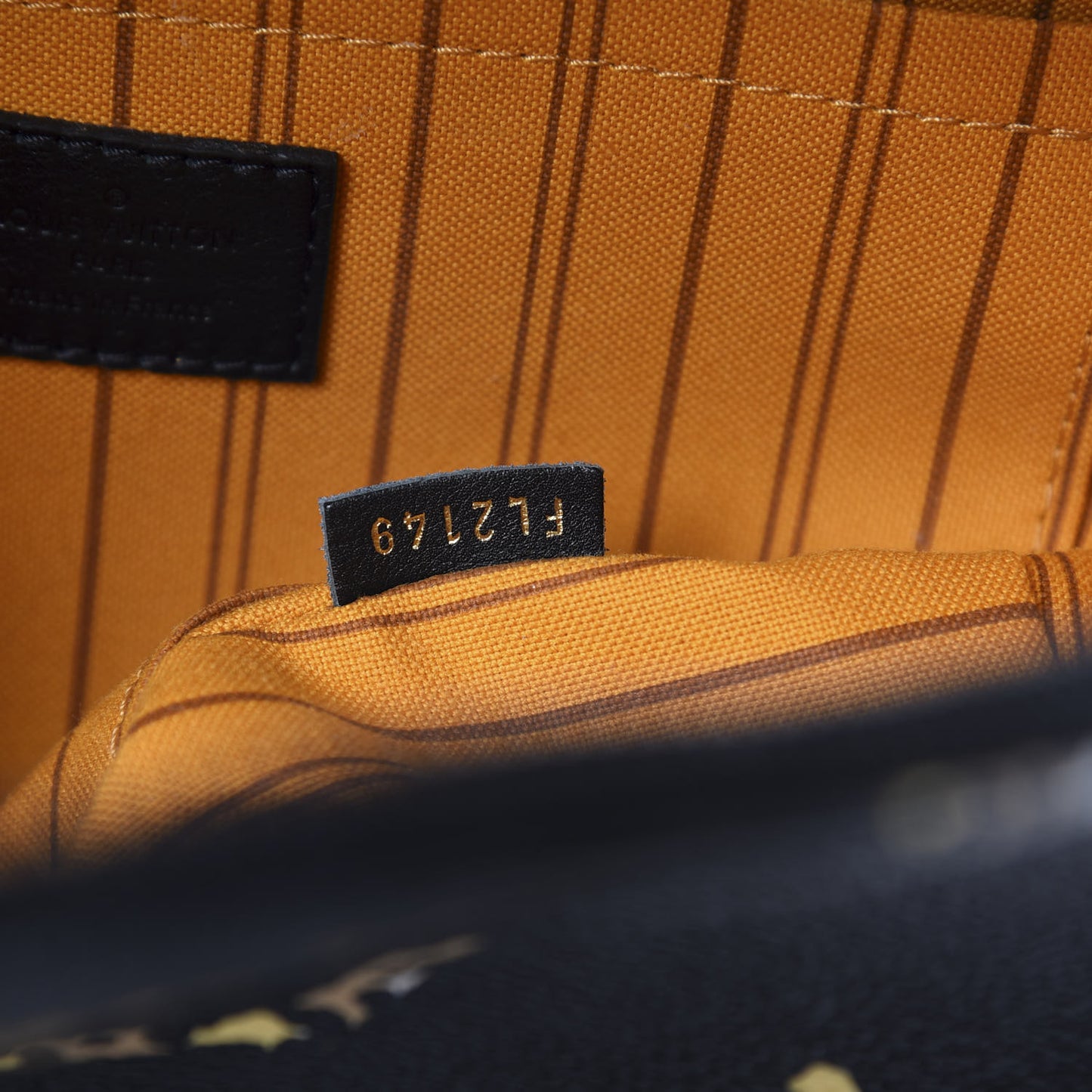 Monogram Giant Jungle Palm Springs Backpack PM Black