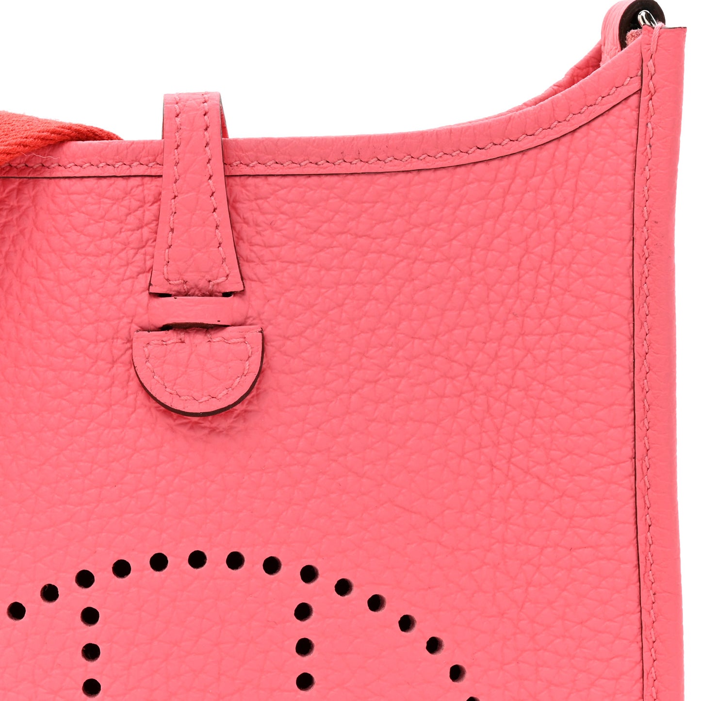Taurillon Clemence Amazone Evelyne TPM Rose Azalee Rouge Pivoine