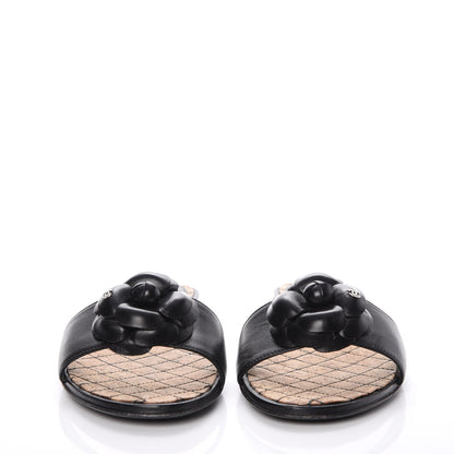 Chanel Calfskin Cork Camellia Sandals 40 Black 2 of 15