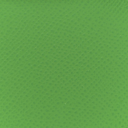 Hermes Epsom Mini Kelly Sellier 20 Vert Yucca 8 of 11