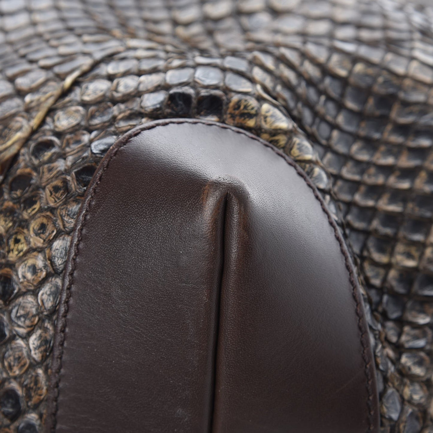 Python Medium Craft Tote Brown