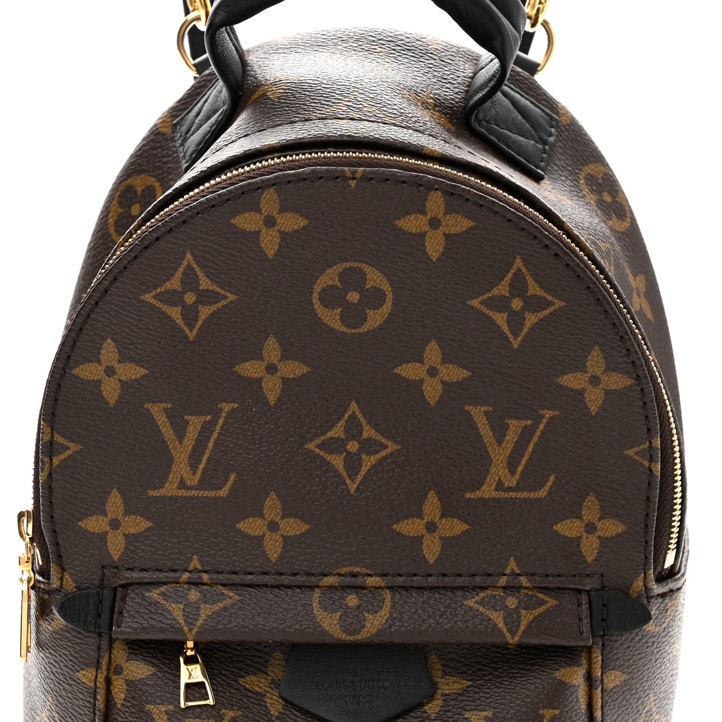 Monogram Palm Springs Backpack Mini