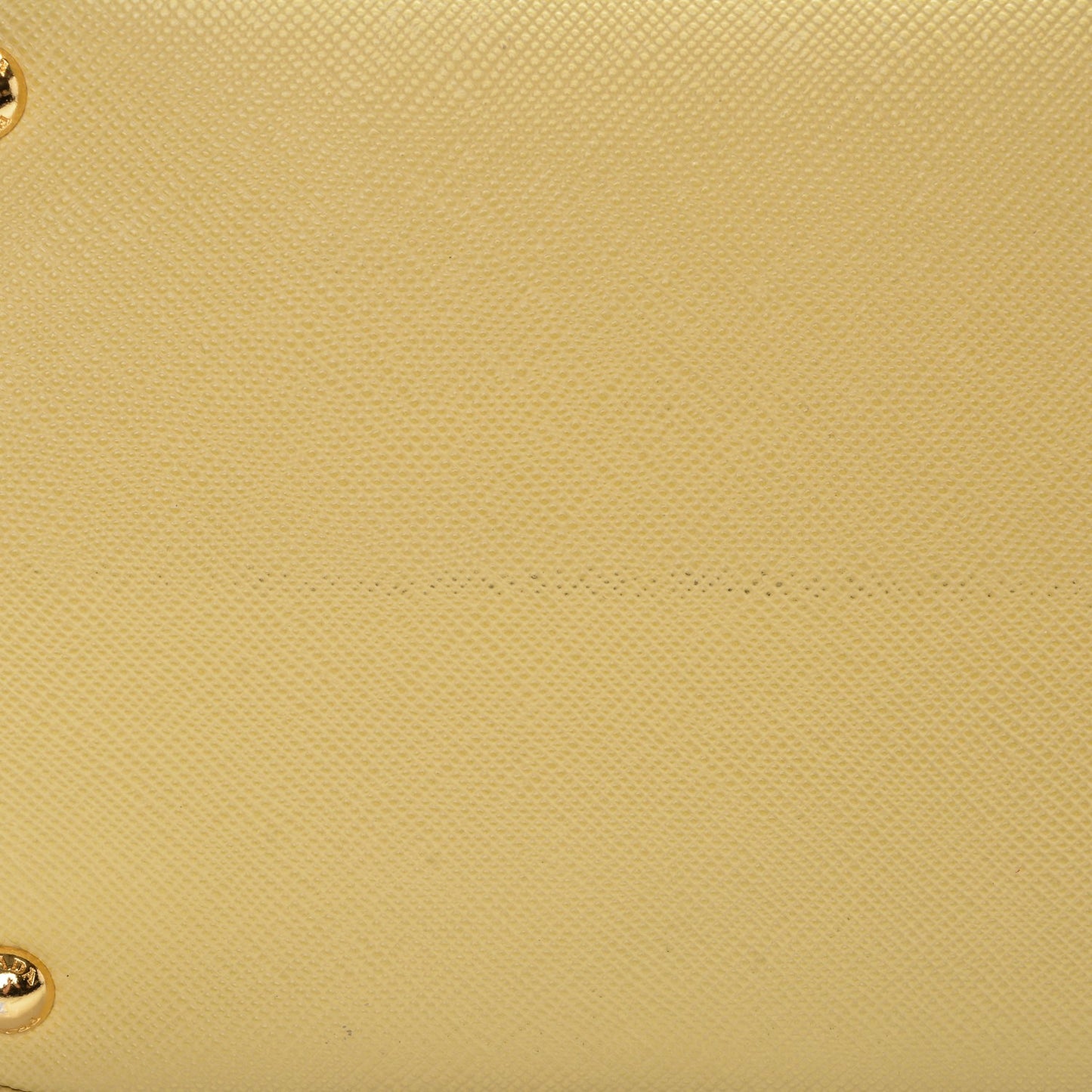Saffiano Cuir Medium Double Bag Polline