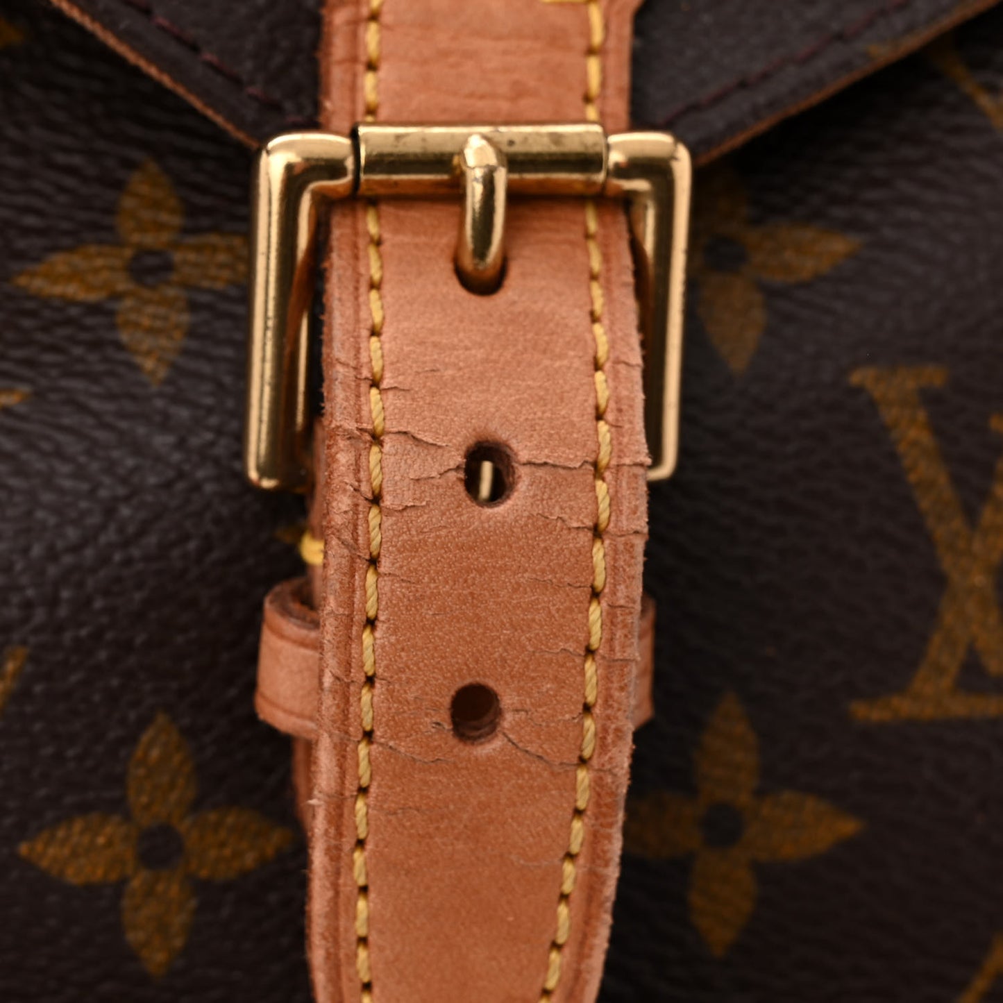 Monogram Montsouris MM Backpack