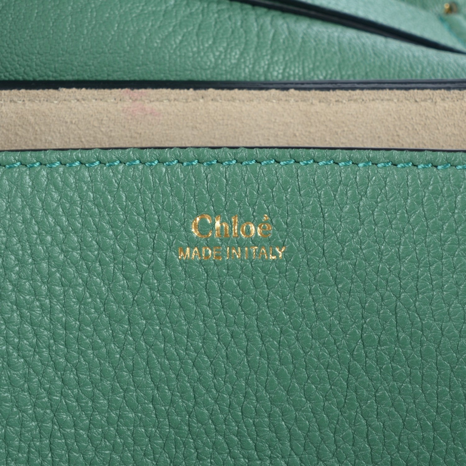 Chloe Grained Lambskin Drew Shoulder Bag Soft Green 9 of 9