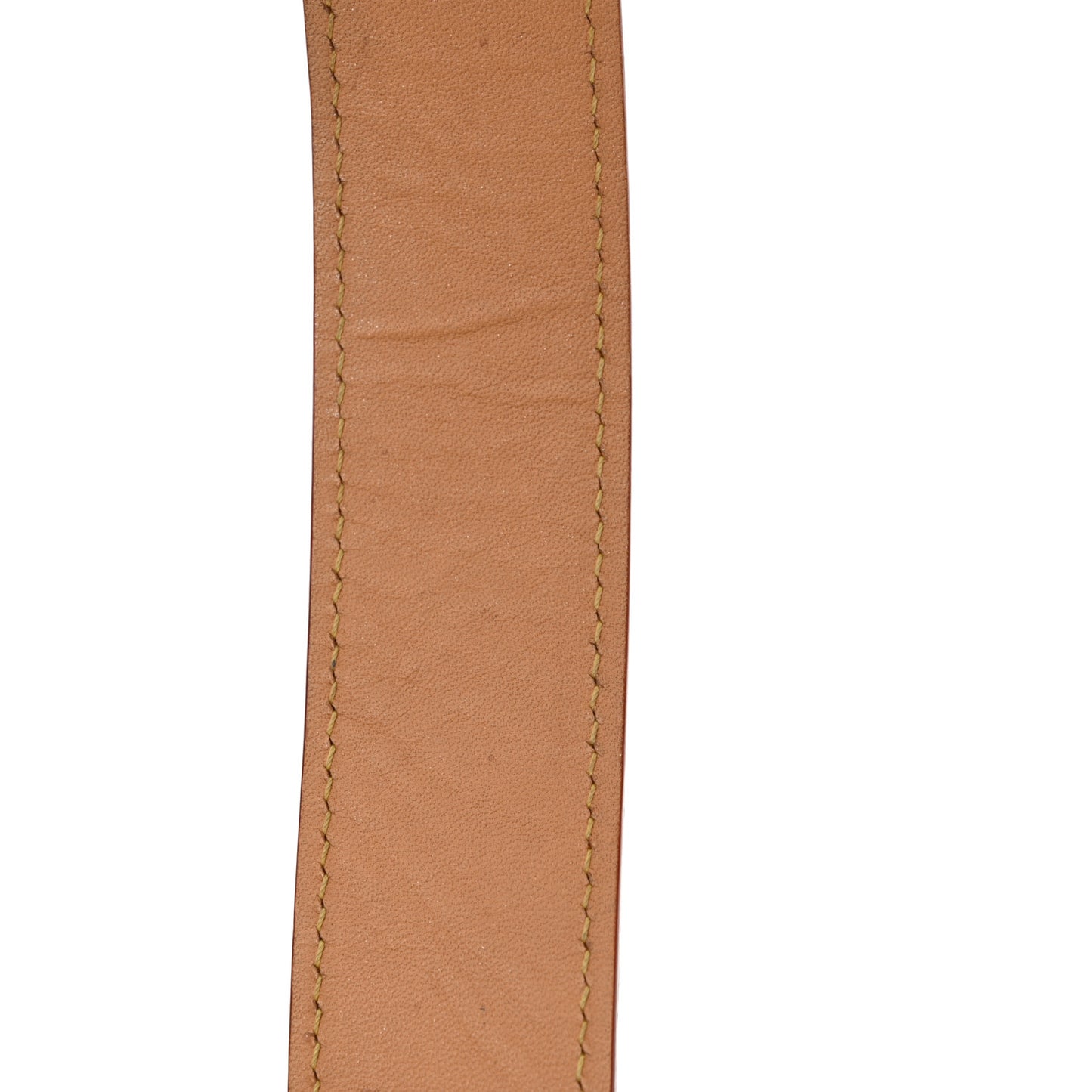Monogram CarryAll PM
